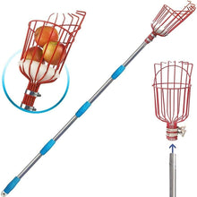 Fruit Picker with Basket – Telescopic Pole Tool for Harvesting Fruits (Pack of 1)
