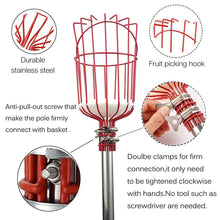 Fruit Picker with Basket – Telescopic Pole Tool for Harvesting Fruits (Pack of 1)