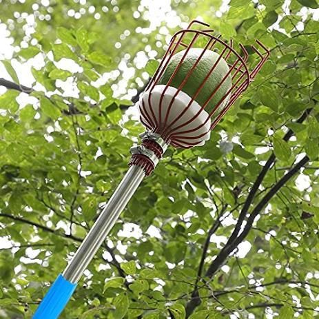 Fruit Picker with Basket – Telescopic Pole Tool for Harvesting Fruits (Pack of 1)