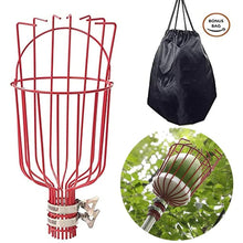 Fruit Picker with Basket – Telescopic Pole Tool for Harvesting Fruits (Pack of 1)