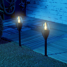 Solar-Powered LED Pathway Garden Light – Dusk-to-Dawn Outdoor Lamp with Ground Stake (1 Pc)