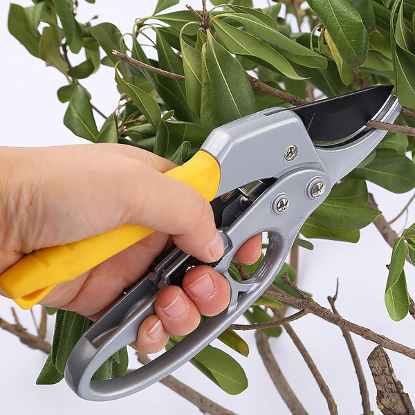Professional Pruning Shears – SK-5 Steel Blade with Ergonomic Handle for Trimming & Bonsai (200mm / 1 Pc)