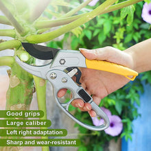 Professional Pruning Shears – SK-5 Steel Blade with Ergonomic Handle for Trimming & Bonsai (200mm / 1 Pc)