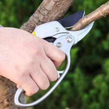 Professional Pruning Shears – SK-5 Steel Blade with Ergonomic Handle for Trimming & Bonsai (200mm / 1 Pc)