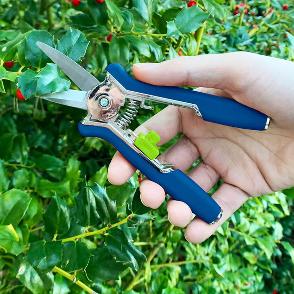 Precision Micro Garden Snip – Stainless Steel Pruning Scissor for Herbs, Plants & Ornamentals